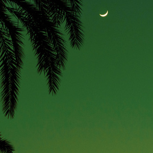 小鹿酱挑战35厘米尾巴是哪一期
